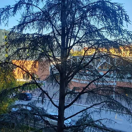 Canova House In アパート フィレンツェ